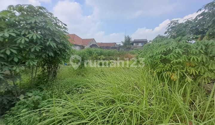 Lahan Strategis 35 X 40 M di Cinangka - Siap Bangun Rumah Mewah atau Usaha Lahan Strategis 35 X 40 M di Cinangka - Siap Bangun Rumah Mewah atau Usaha