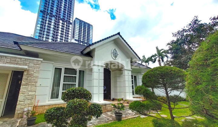 Surga Hijau Di Cilandak Barat - Rumah 1,5 Lantai Dengan Halaman Luas Banget, Adem & Elegan