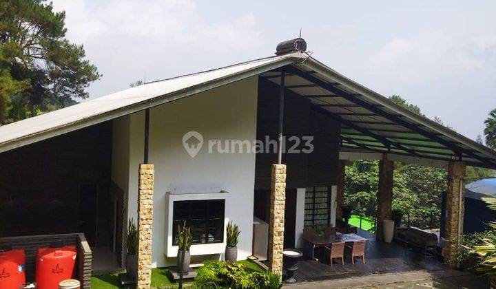 Villa Sejuk dan Asri di Megamendung Cisarua Bogor 1