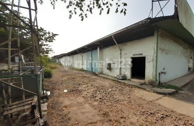 Tanah dan Gudang di Bawah NJOP di Cakung Jakarta Timur Tanah dan Gudang di Bawah NJOP di Cakung Jakarta Timur