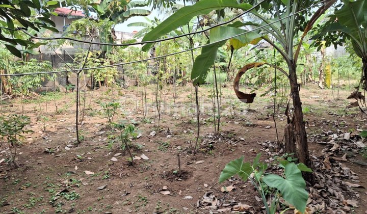 Tanah Kebun Raya Residence, Ciomas Bogor 