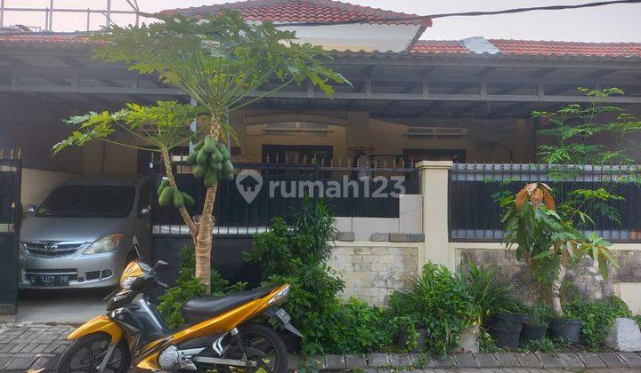 Rumah Terawat Jual Bukit Palma Citraland Utara C3  1