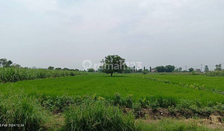 Tanah Murah strategis di Wedoro Anom Menganti Gresik 2