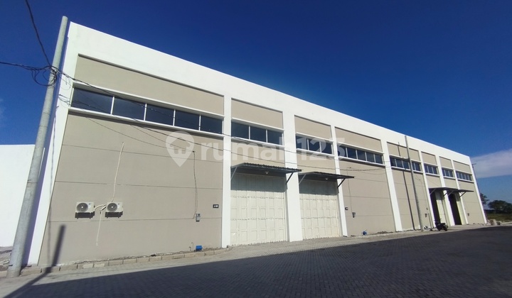 Gudang Baru Driyorejo Kencana Permai Raya Cangkir Driyorejo Gudang Baru Driyorejo Kencana Permai Raya Cangkir Driyorejo