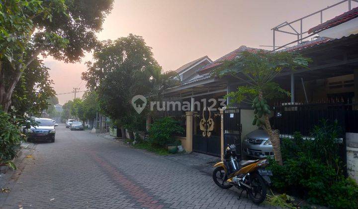 Rumah Terawat Jual Bukit Palma Citraland Utara C3  2