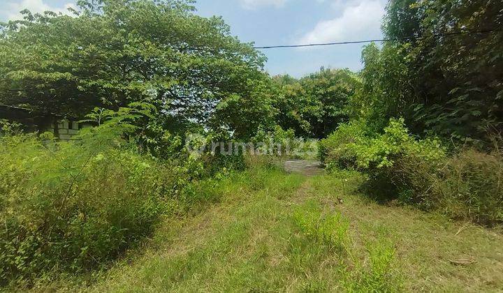 Tanah Jual Desa Ngemboh Ujung Pangkah Gresik Strategis 2