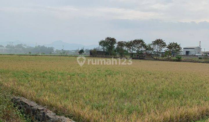 Cepet Aja Lah, Muraahh, Kavling Industri Di Jalan Industri Gede Bage, Bandung