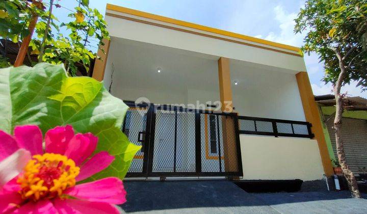Segera Dapatkan Rumah Murah Cash Kpr 1