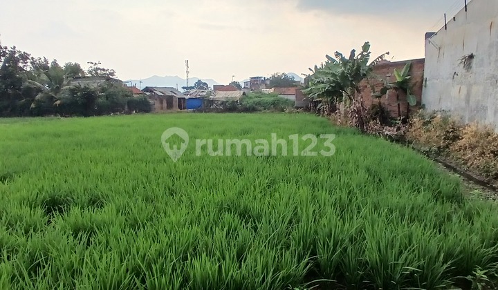 For Sale: Land in Cijagra, only 500 meters from Kopo Main Road. Suitable for warehouse, paddle tennis, investment, etc. Land area 3340 m² with SHM (certificate). Price 3.5 M. Info: 0822.1857.7273. Teguh Budiman / xmac.