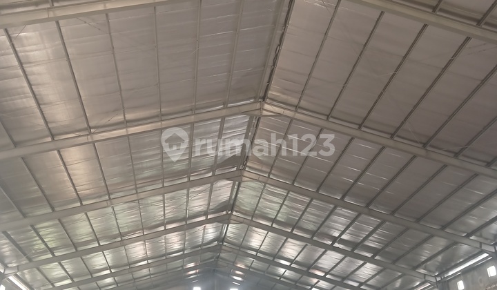 ✳️Disewakan/For Rentgudang Baru @Sadanglb 912 M2carpot 288 M2lt 1200 M2lm 24 Mtrlistrikair Hdp Utaraakses 20 Feethrg : 500 Jt/Thninfo : 0822xxxxxxxxTeguh Budiman/Xmac ✳️Disewakan/For Rentgudang Baru @Sadanglb 912 M2carpot 288 M2lt 1200 M2lm 24 Mtrlistrikair Hdp Utaraakses 20 Feethrg : 500 Jt/Thninfo : 0822xxxxxxxxTeguh Budiman/Xmac