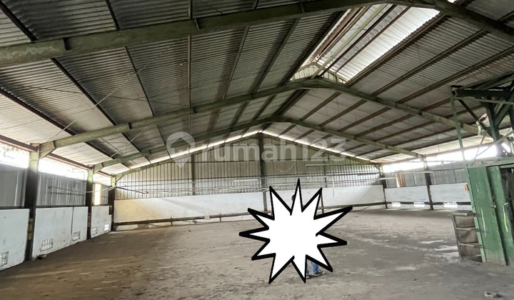 Dijual / Disewakan Ex Pabrik Pencelupan Di Majalaya Bandungluas Tanah 1 Haluas Bangunan 9000 M2listrik 660kva Parkiran Bisa Muat 4 Unit Truk 40ftada Ijin Celup Dan Olah Limbah Sederhana Dan Masih Aktif Ijin Nyatinggi Tembok 6,5 Mtinggi Atap 9 Mseluruh Lan 1