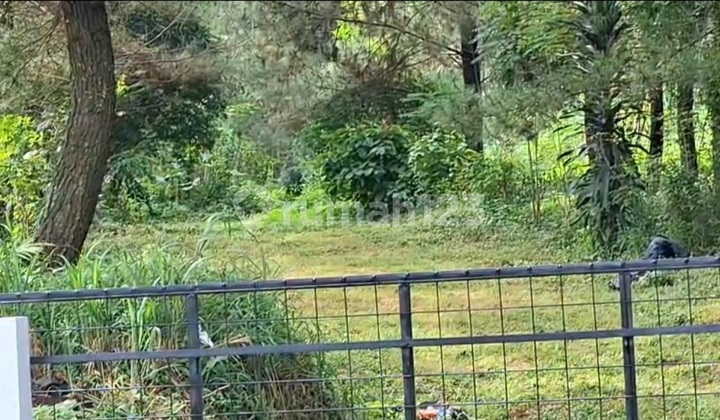 Di Jual/for Saletanah Padat Kebunjl Sumur Bor , Ciharas , Cilame , Ngamprah Kbb* 10 Menit , Krg 2 Km Dr Kota Baru Parahyangan* Dkt Private Hill Cluster* Luas Tanah Kebun 1965 M2 * Lm 82 Mtr , Dpt Di Bangun 16 Unit Ruko * Panjang 18 - 33 Mtr* Op 5.5 Jt Msh