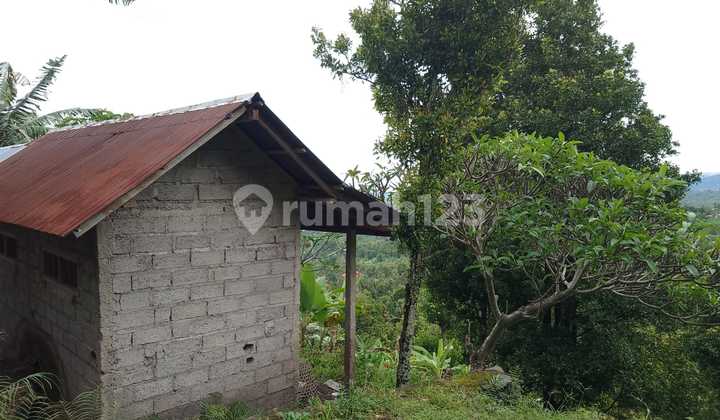 Kavling Murah Siap Bangun dan Lokasi Strategis @Buleleng, Bali 2
