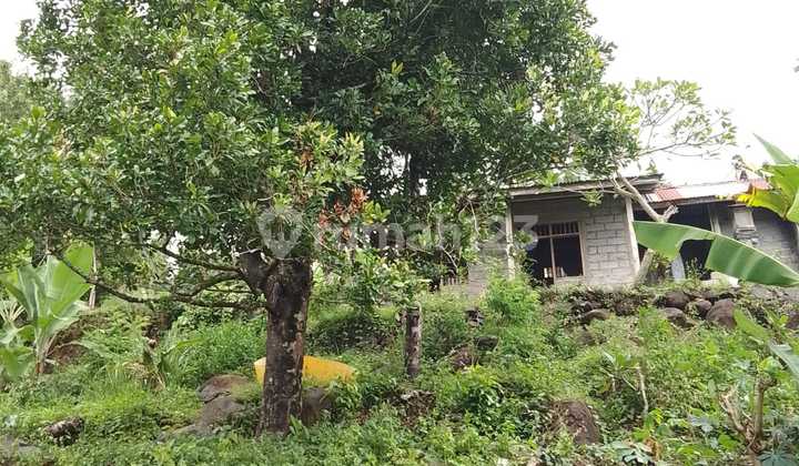 Kavling Murah Siap Bangun dan Lokasi Strategis @Buleleng, Bali 1