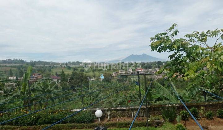 Tanah Dijual di Tugu Selatan Puncak Luas 1.2 Ha View Gunung 1