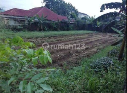 Tanah Luas 800sqm Dijual di Kedung Jaya Bogor 1