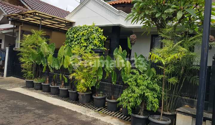 Rumah di Komplek Deplu Luas 200M 1