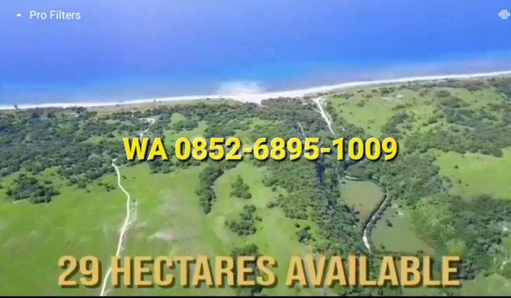 Tanah Sumba 30 Hektar Pinggir Pantai Kapulit 4