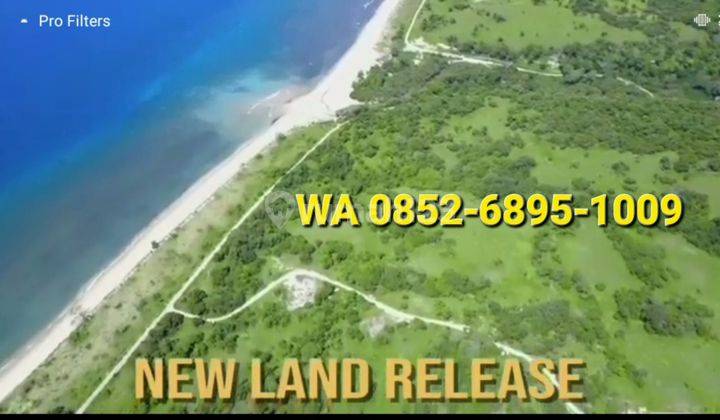 Tanah Sumba 30 Hektar Pinggir Pantai Kapulit 6