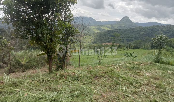 Half price discount, cheap Jonggol Bogor. Half price discount, cheap Jonggol Bogor.