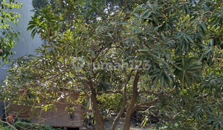 Rare and Most Affordable Plot in Katamaran PIK