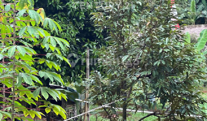 For Sale Garden Land Strategic Location National Highway S9035