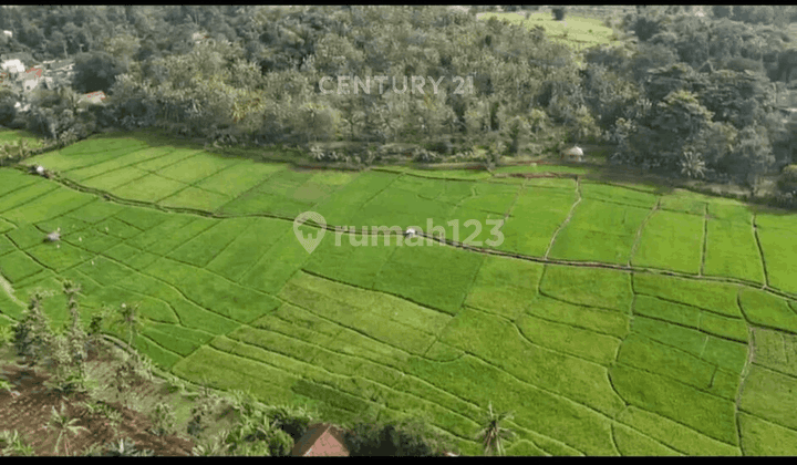 Tanah Luas Cocok Untuk Resort Di Cilaku NS0003 2