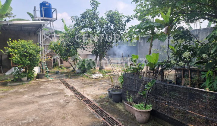 Tanah di Gunung Sindur Cocok untuk Mini Cluster Arau Workshop