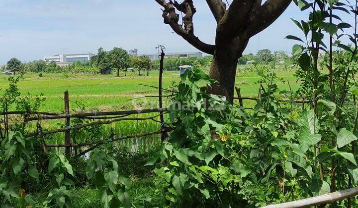 DIJUAL TANAH KOSONG!! di Cikande, Kawasan Industri 1