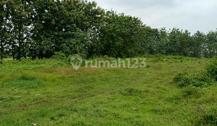 Dijual Tanah Lokasi Desa Ciangir Legok SHM 14.8 Ha
