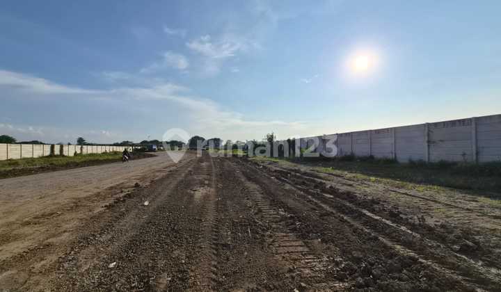 Dijualbtanah Cakep Lebar Muka 120m² Lt 2,7ha Depan Puri Naga Dijualbtanah Cakep Lebar Muka 120m² Lt 2,7ha Depan Puri Naga