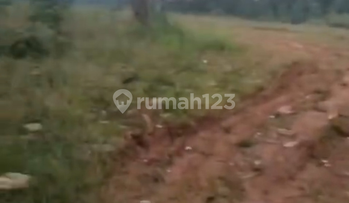 Dijual Kavling Parung Panjang Buat Cluster Dijual Kavling Parung Panjang Buat Cluster