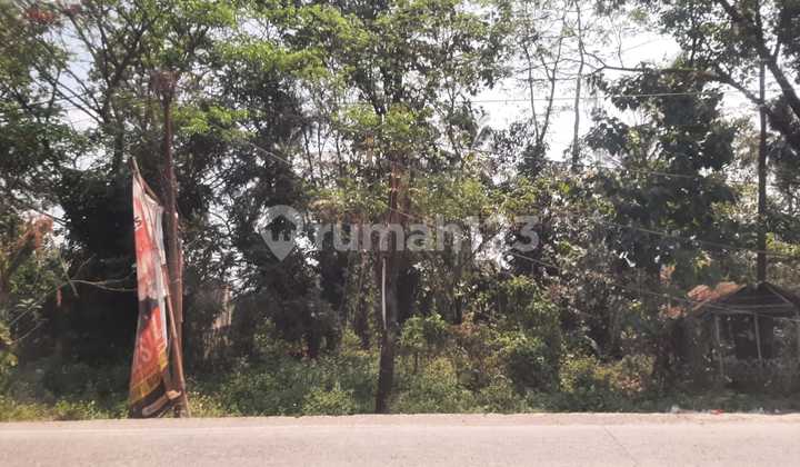 For Sale!! Tanah Komersil Lt 3.660m² Parung Panjang For Sale!! Tanah Komersil Lt 3.660m² Parung Panjang