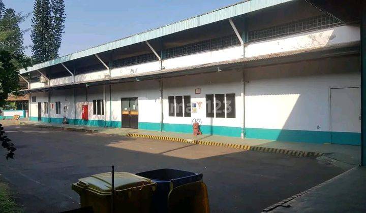 tampak depan dijual ex pabrik shm lokasi
