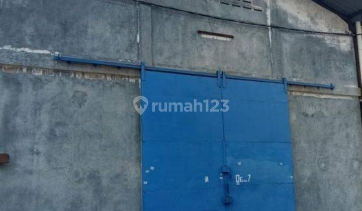 Disewakan gudang Miami Tegal alur  1