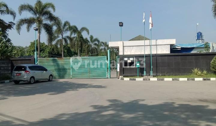 Disewa dan Dijual Gudang Besar di Rangkas Bitung Disewa dan Dijual Gudang Besar di Rangkas Bitung