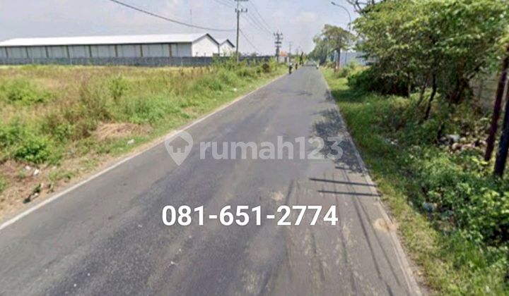 Land in Cerme Gresik