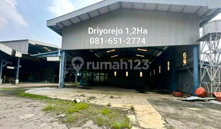 Driyorejo Gresik Main Factory