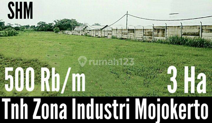 Tanah di Mojokerto 1