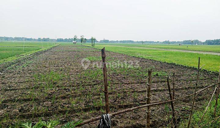 Tanah Nganjuk Lengkong 5