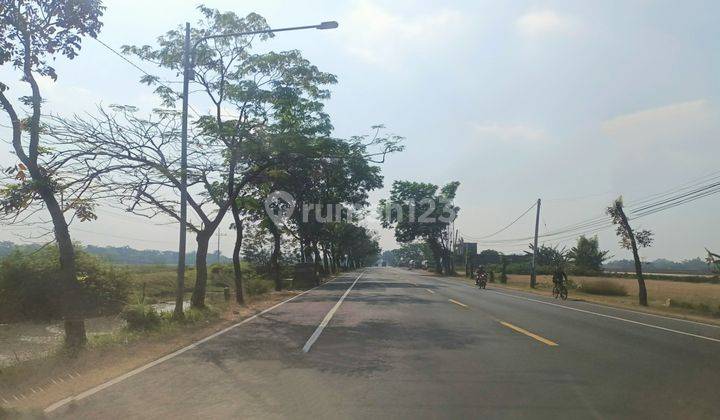 Tanah di Nganjuk 1