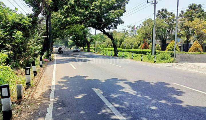 Tanah di Pasuruan Wonorejo  3