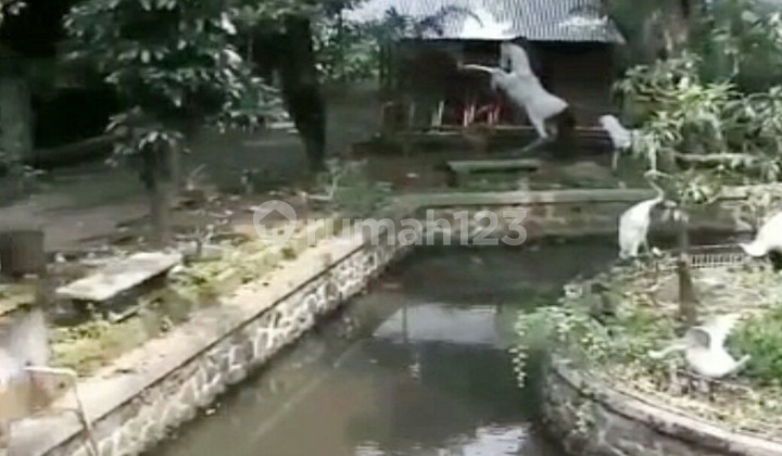 Gudang di Pandaan 8