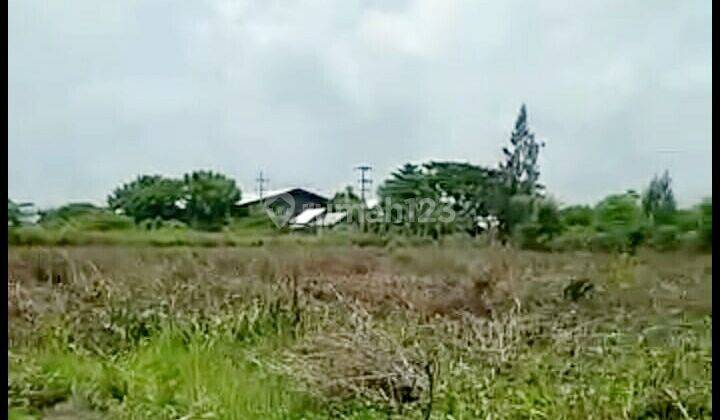 Tanah di Tuban 4
