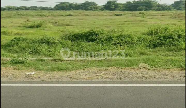 Tanah di Tuban 2
