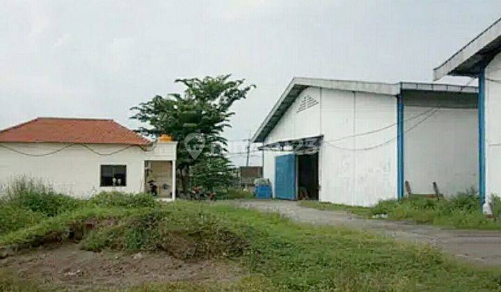 Gudang di Balongpanggang Gresik  3