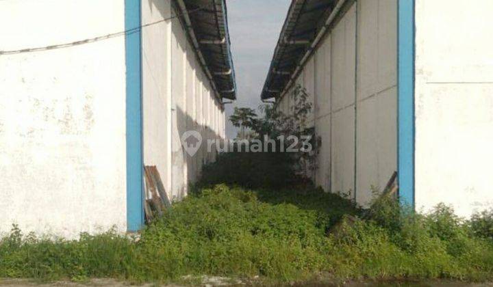 Gudang di Balongpanggang Gresik  5