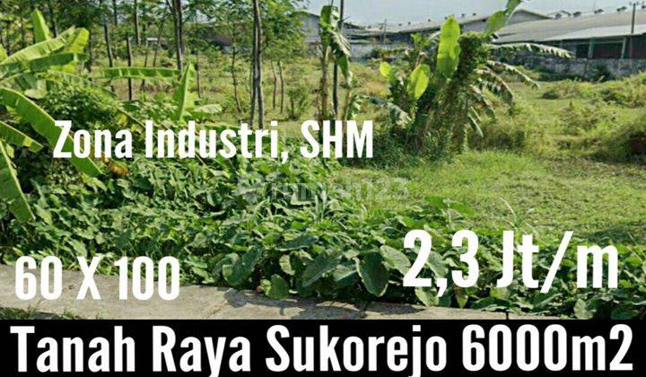 Tanah di Sukorejo  1