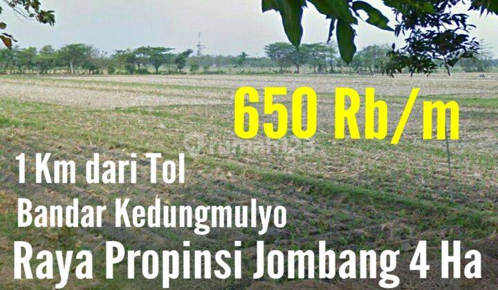 Tanah di Jombang  1