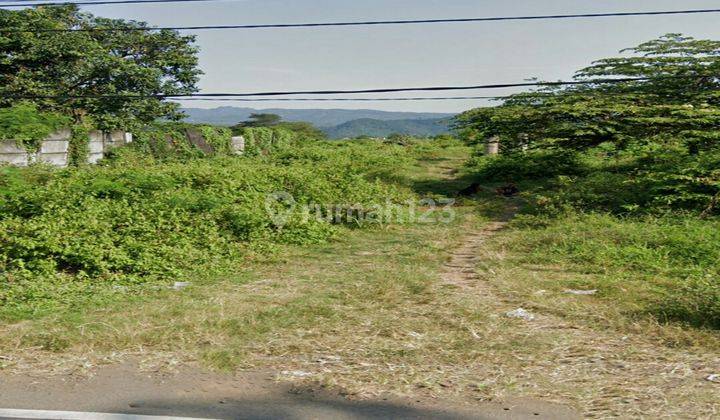 Tanah di Purwosari Pasuruan  1